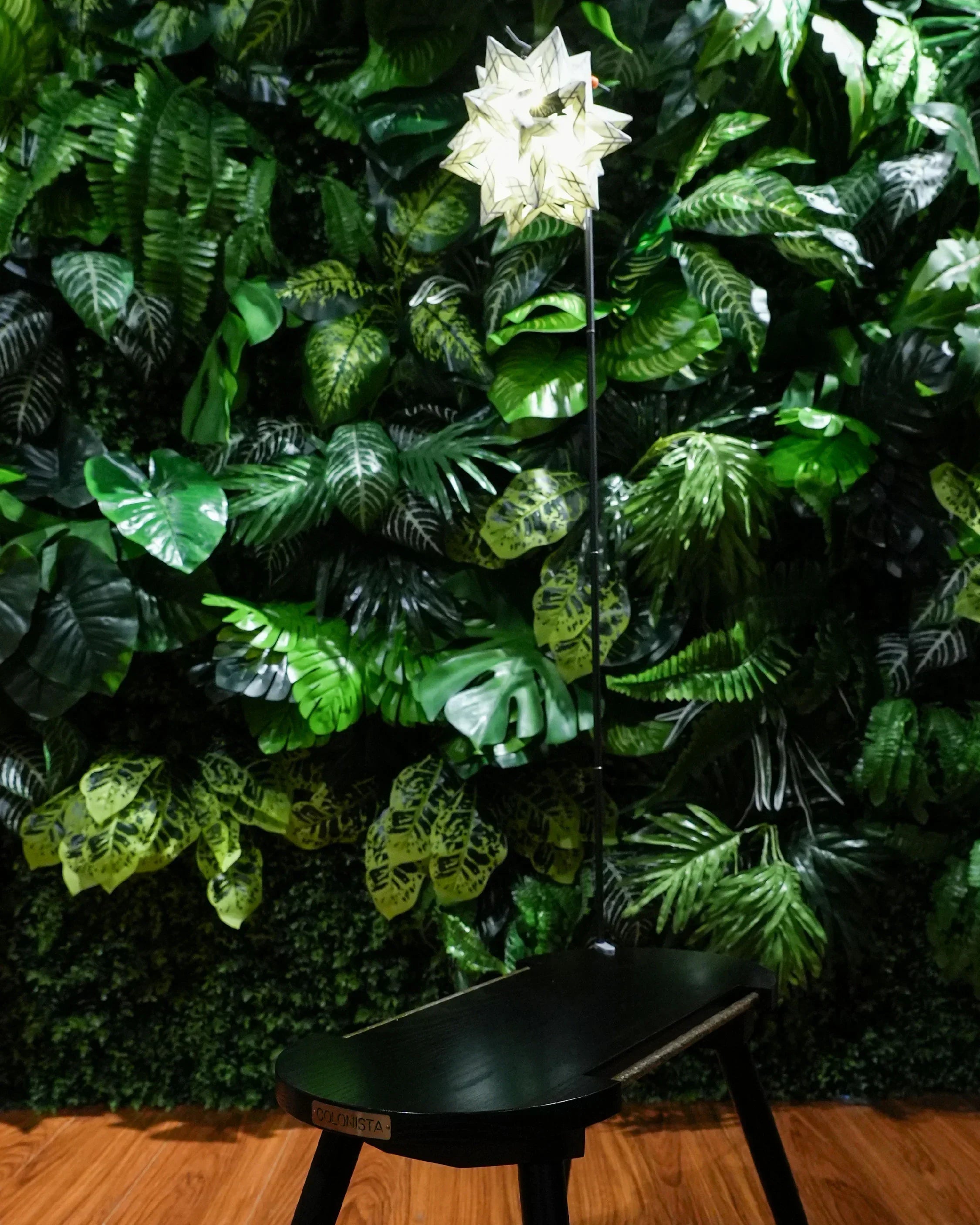 Colonista CONPE10 / Glow Ver.