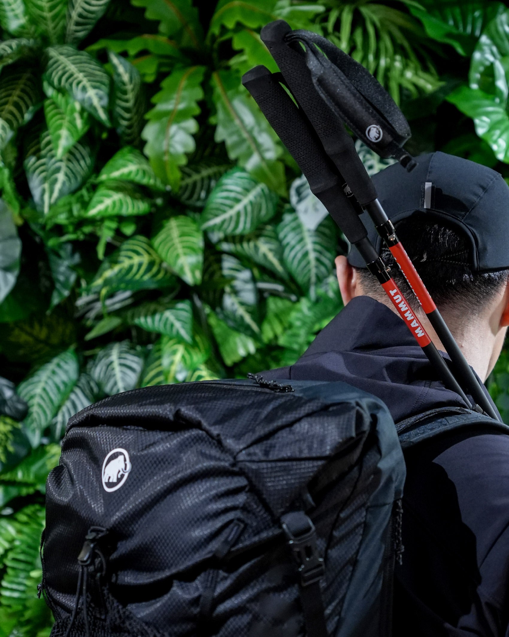 Mammut Aenergy Ultra Carbon Pole (Pair) - Wild Camping