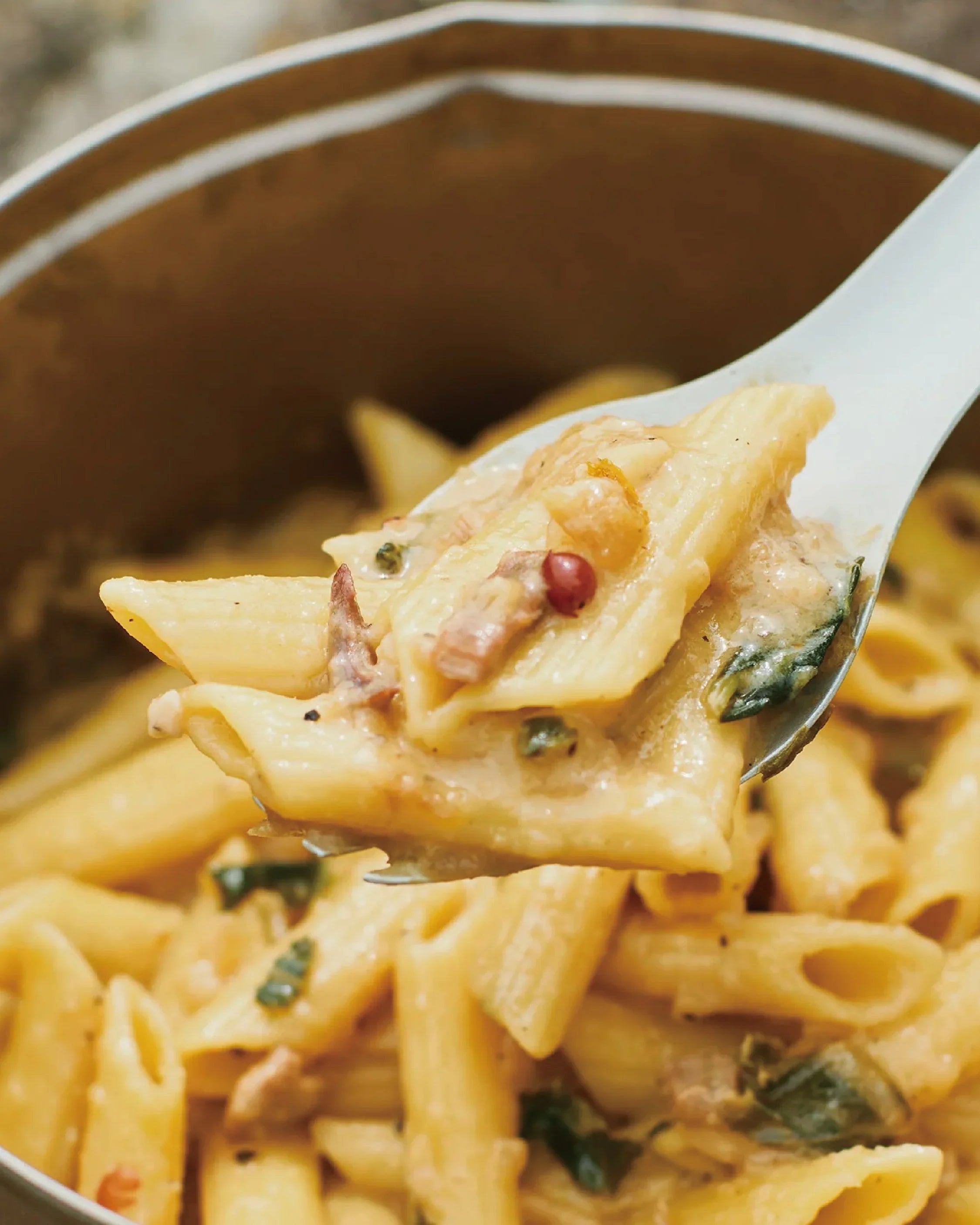 Mountain Gourmet Lab. Cream Penne with Salted Squid