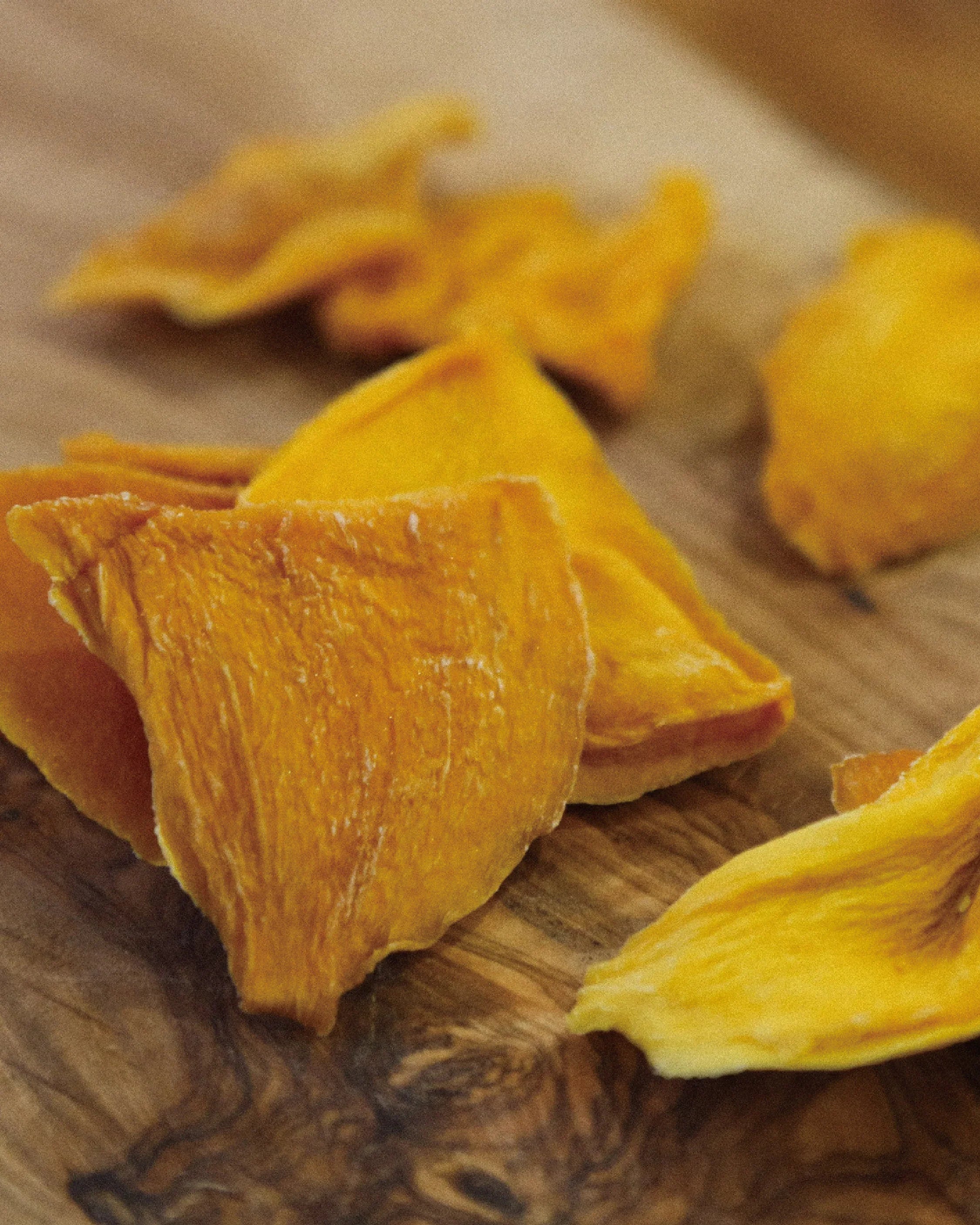 Mountain Gourmet Lab. TRAIL FRUITS 完熟マンゴー