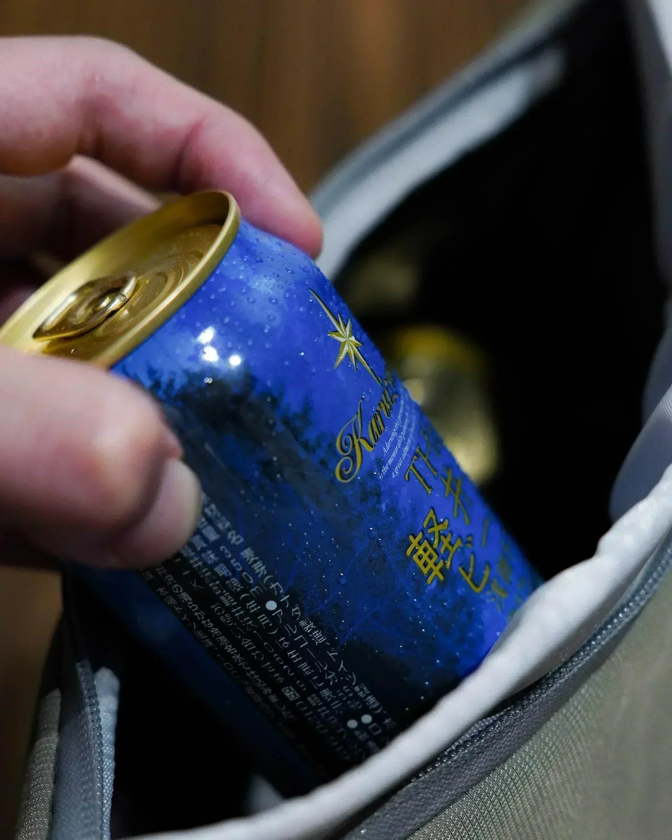 Reecho Insulated Cooler Bag 5L - Wild Camping