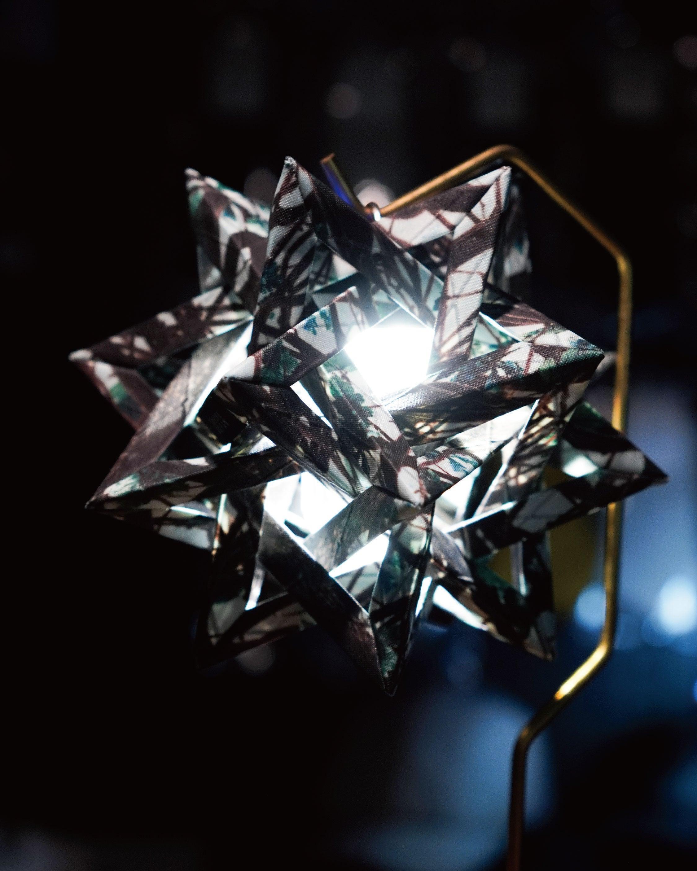 【Limited Edition】Colonista CONPE10 Real Tree Green - Wild Camping