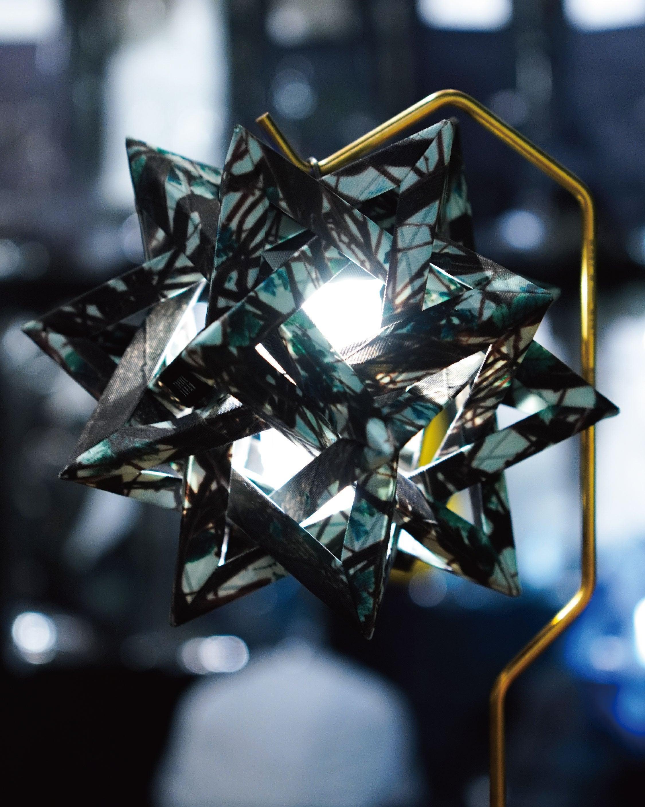 【Limited Edition】Colonista CONPE10 Real Tree Green - Wild Camping