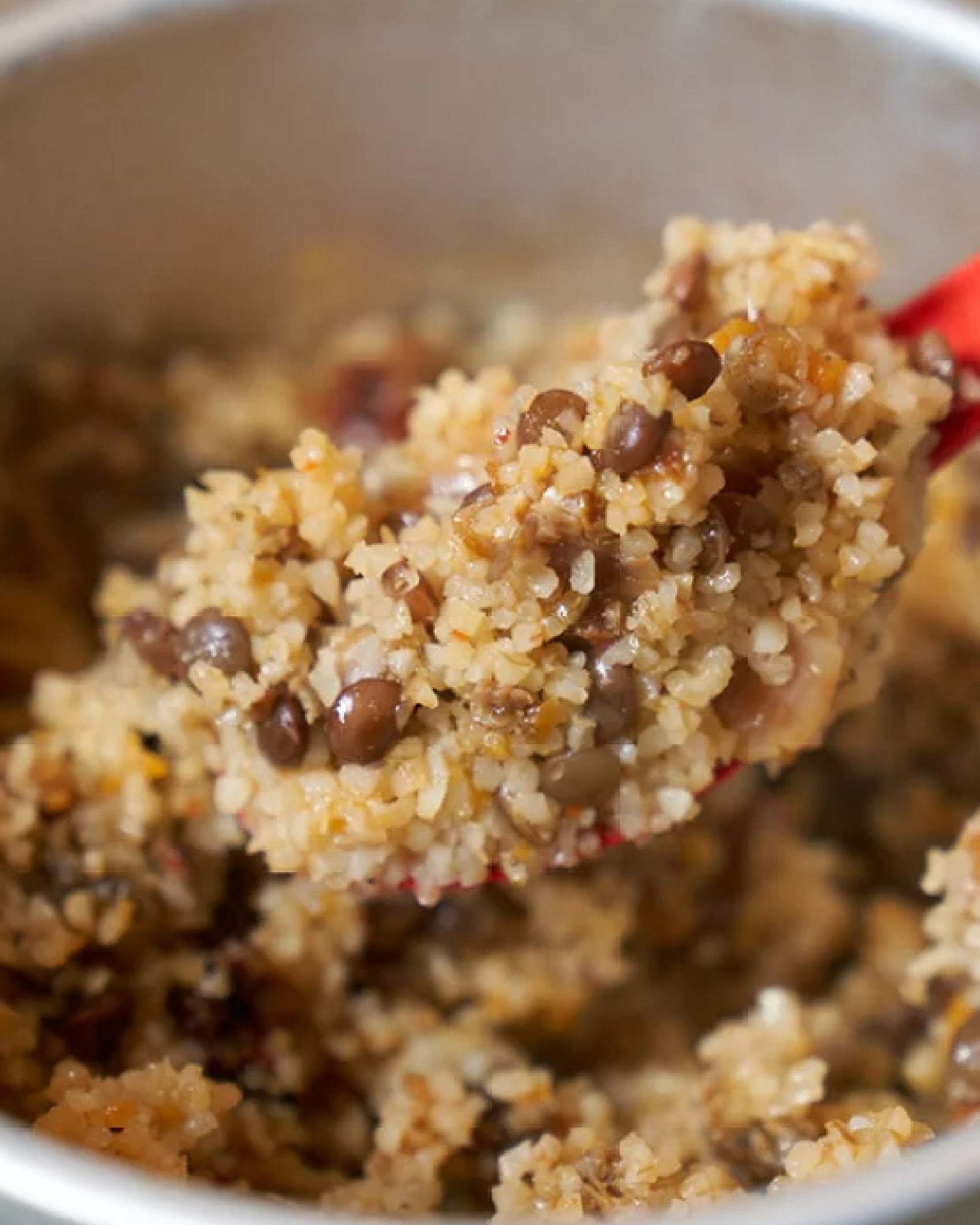 【アルミバッグ】ラムと豆のトマトシチュー(ブルグル入り)