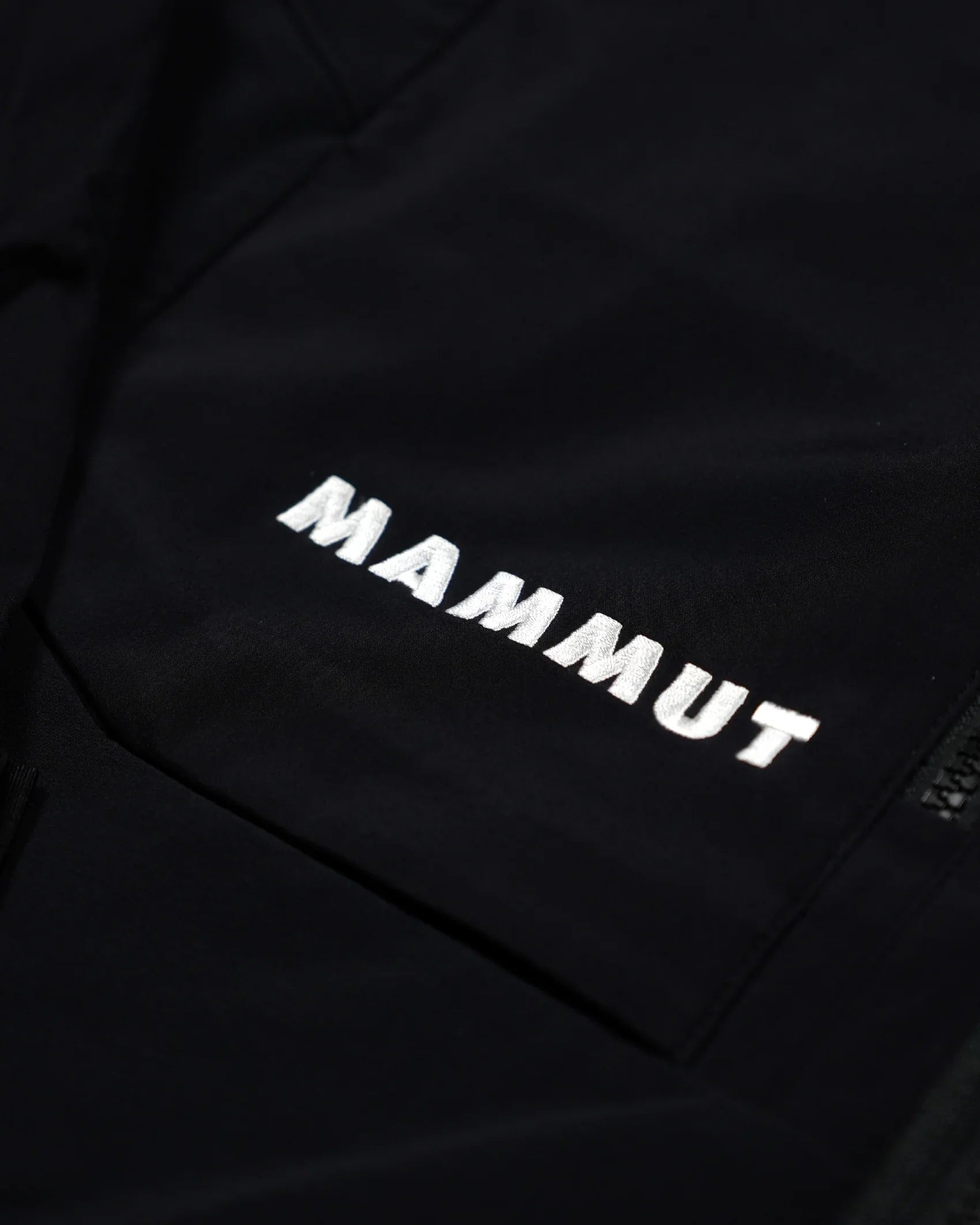 Mammut Eiger Nordwand Pro SO Hoodie Jacket (MEN) - Wild Camping