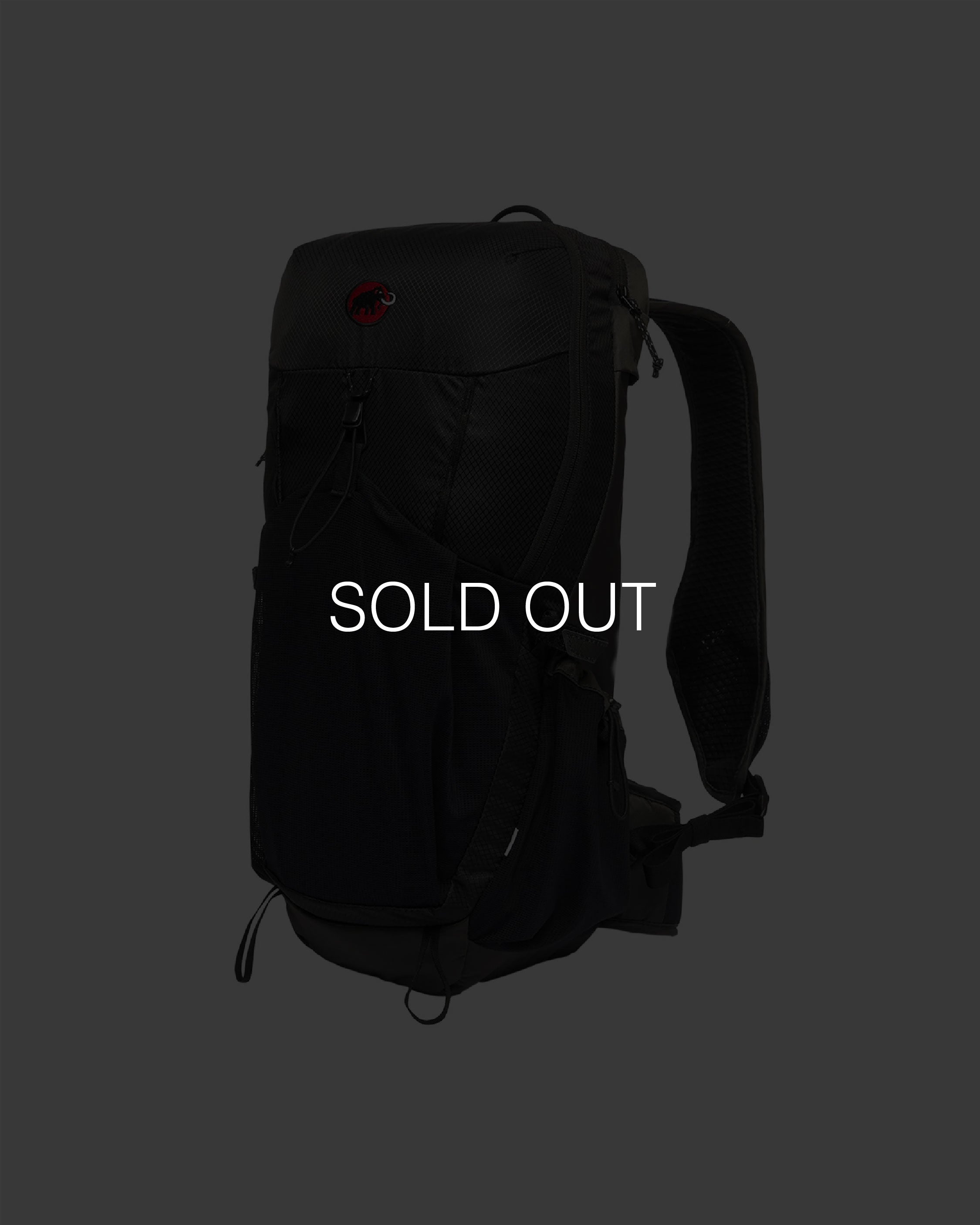 Hiking Patrol x Mammut Ducan 22 / Gabbro Black - Wild Camping