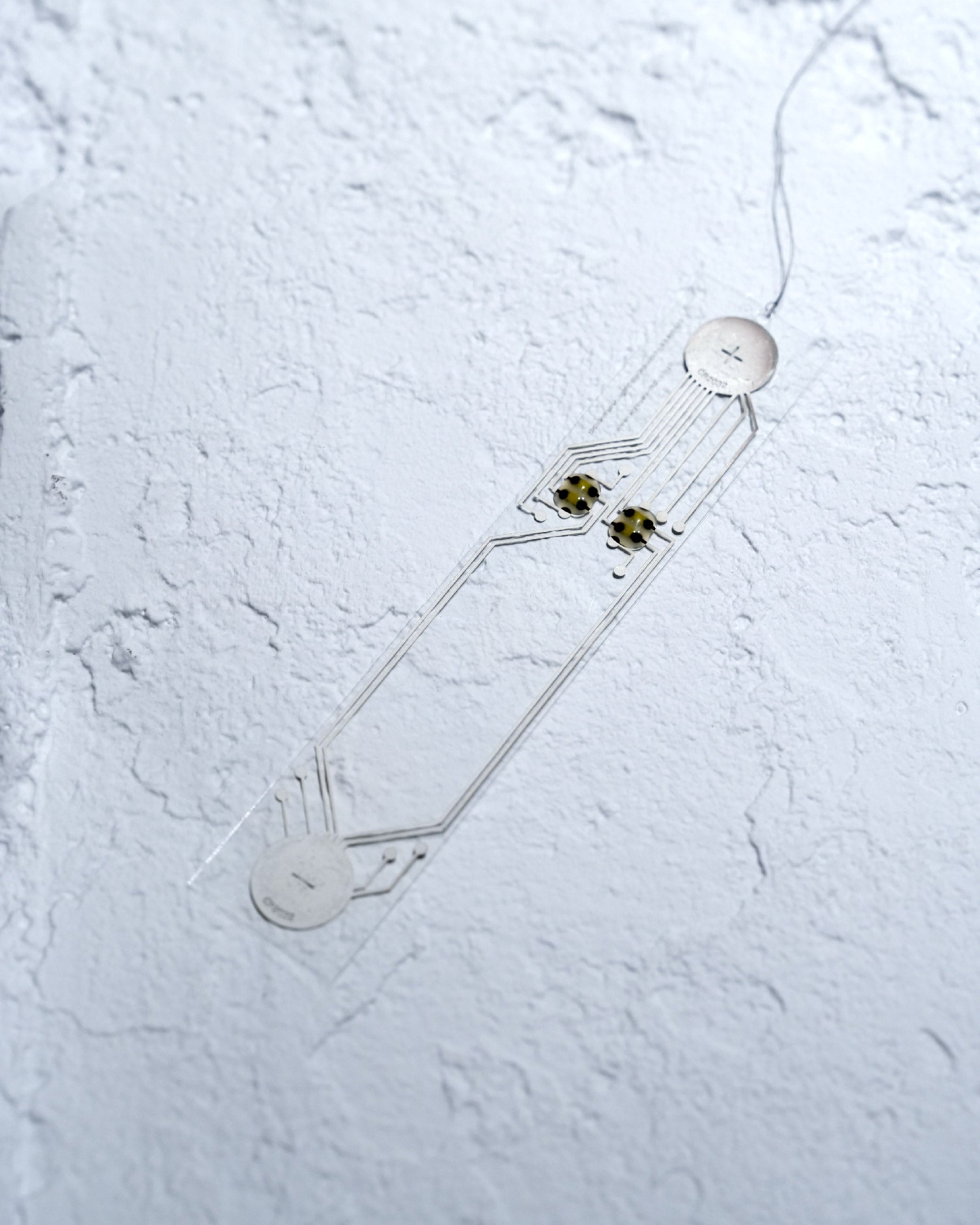 Field Record Bookmark Film Light