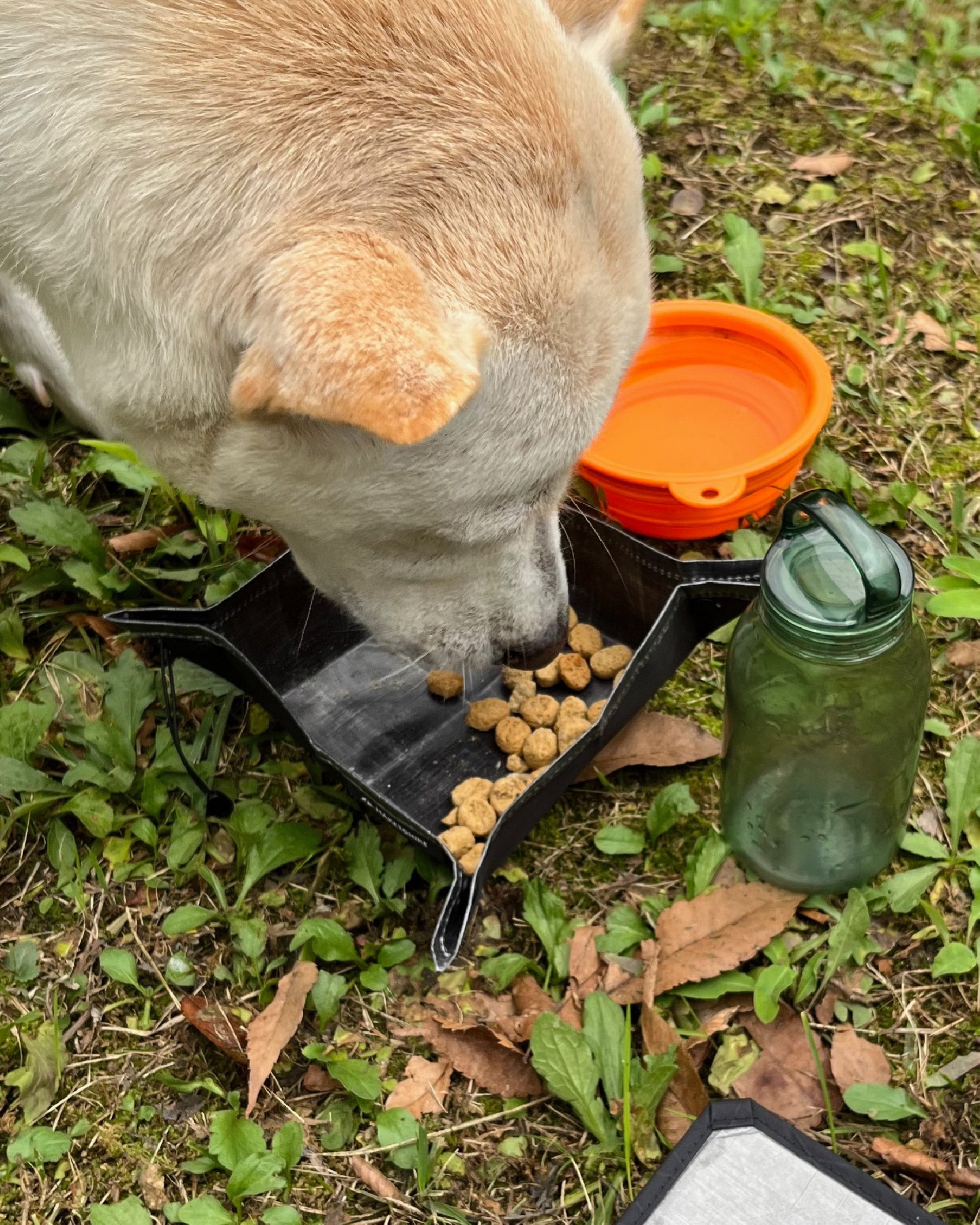 MakeToHike Dog Snack Bowl - Wild Camping