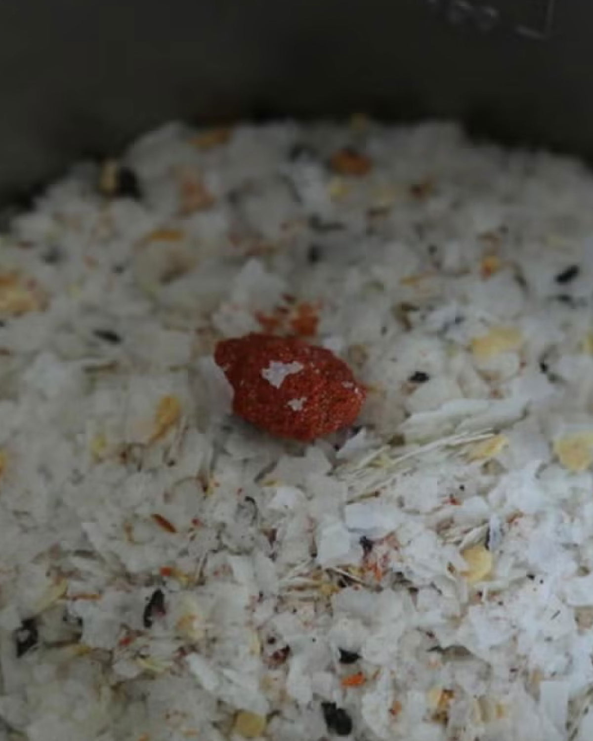 Mountain Gourmet Lab. 梅子紫蘇蕃茄薯蓉 (鋁袋裝) - Wild Camping
