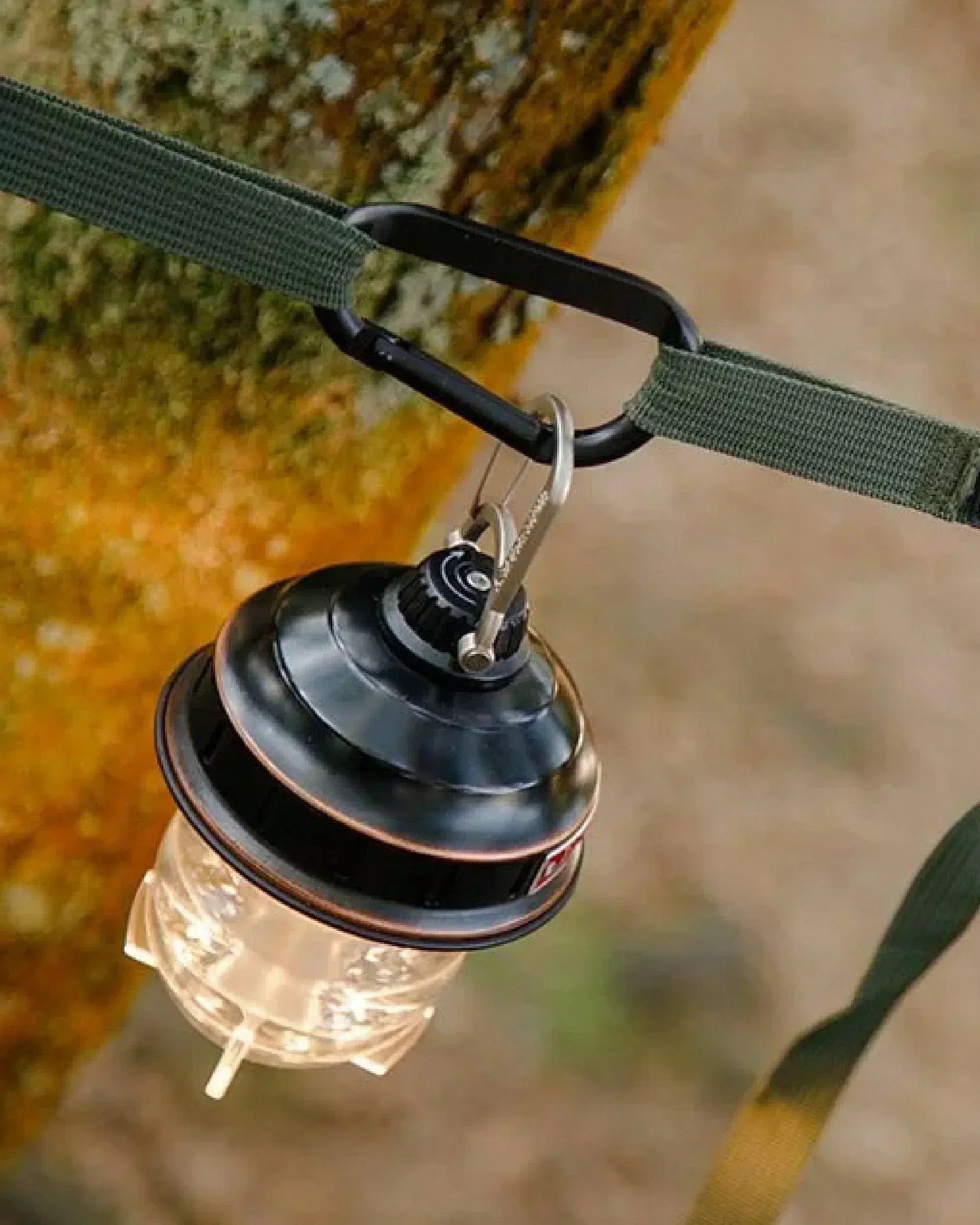 Filter017 Daisy Chain and Carabiners Set - Wild Camping