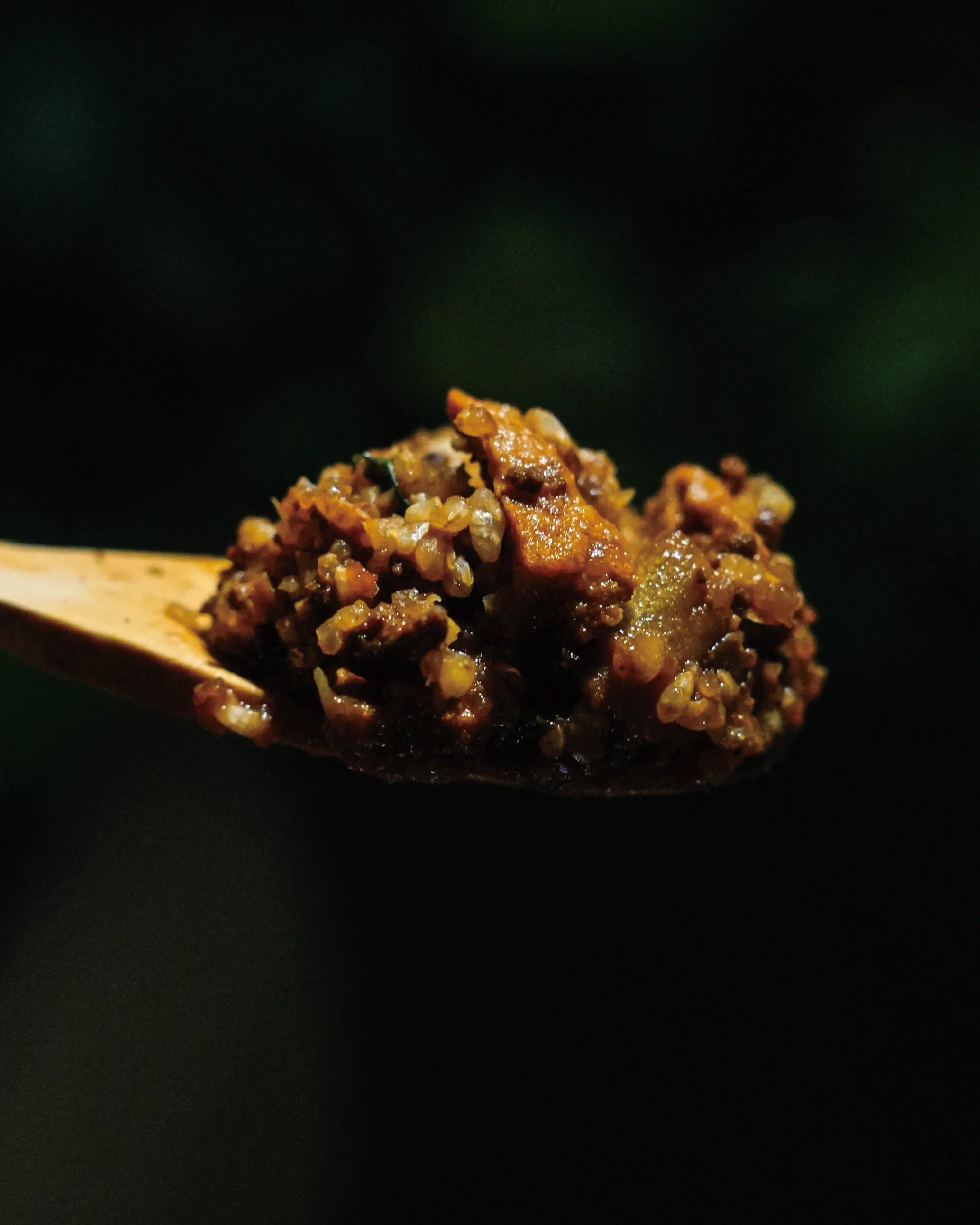 Mountain Gourmet Lab. Tomato and Zha Jiang Combined into Mapo Rice