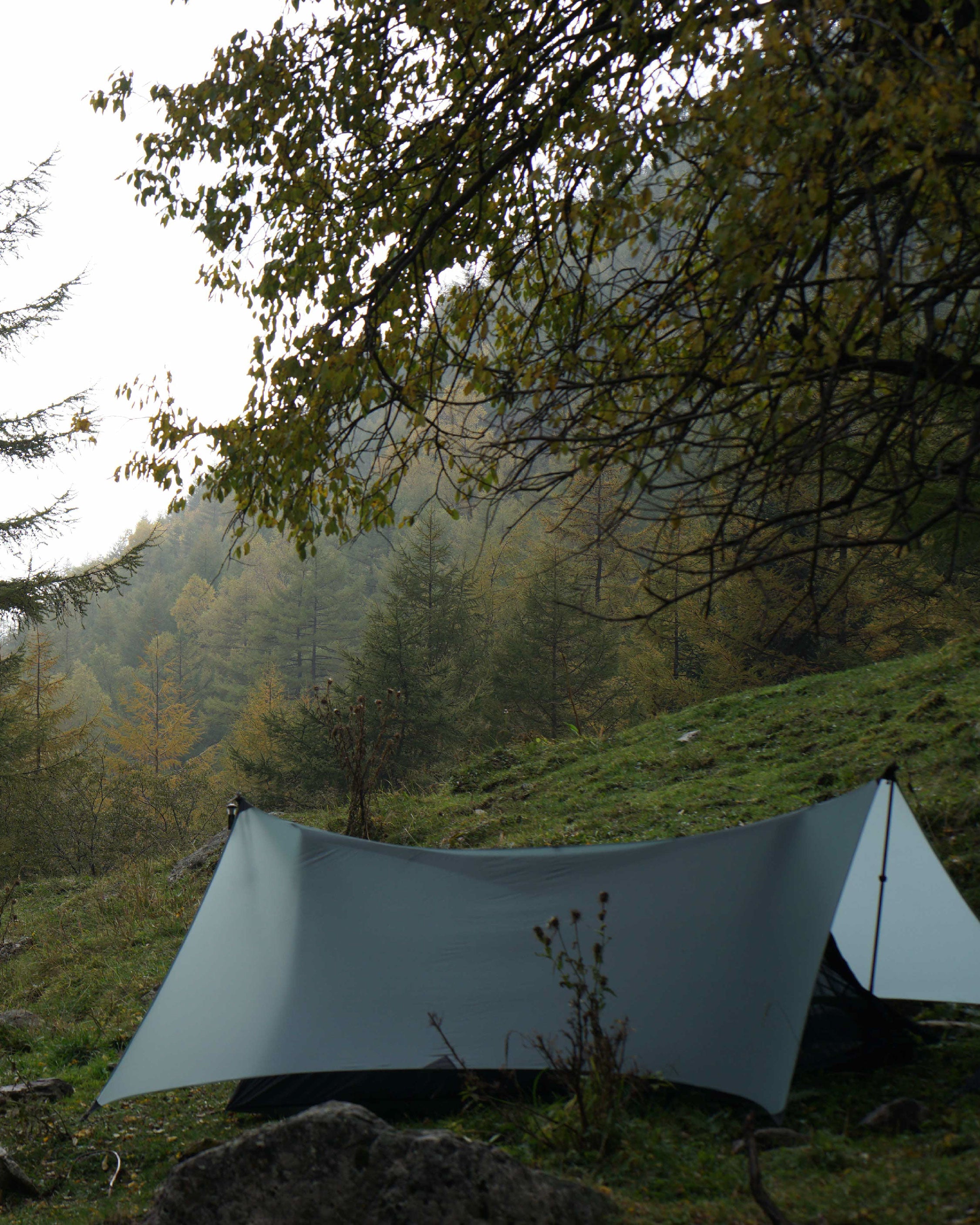 Pre Tents Coast Wing Tarp