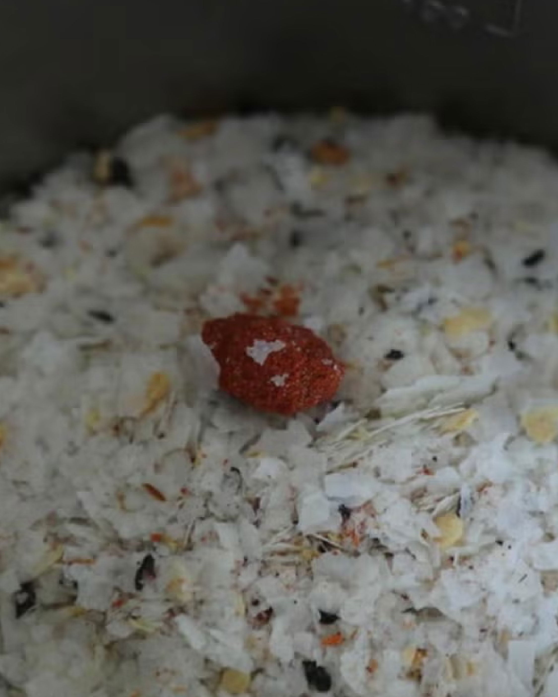 Mountain Gourmet Lab. 梅子紫蘇蕃茄薯蓉 (鋁袋裝) - Wild Camping