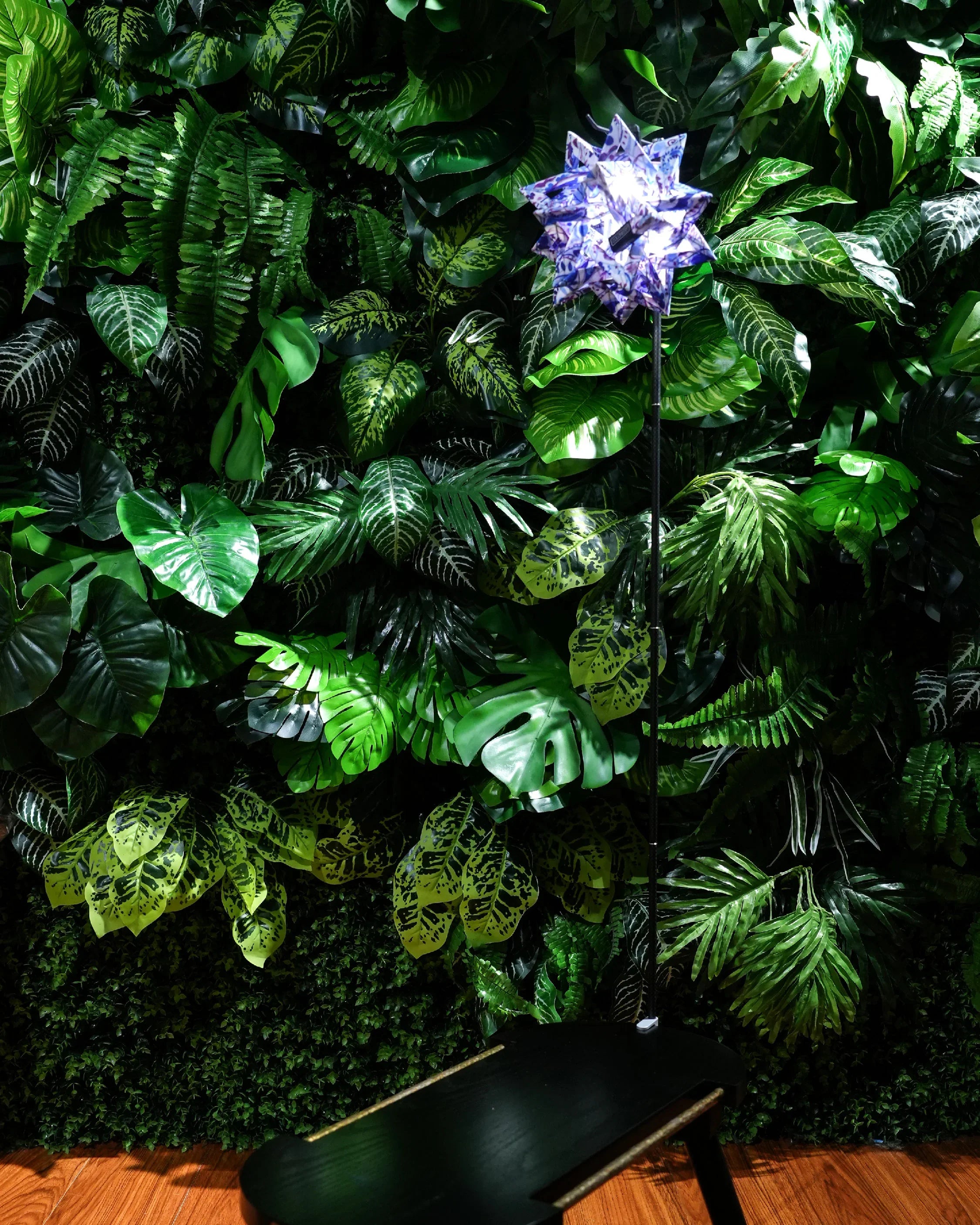 Colonista CONPE10 Paisley Edition