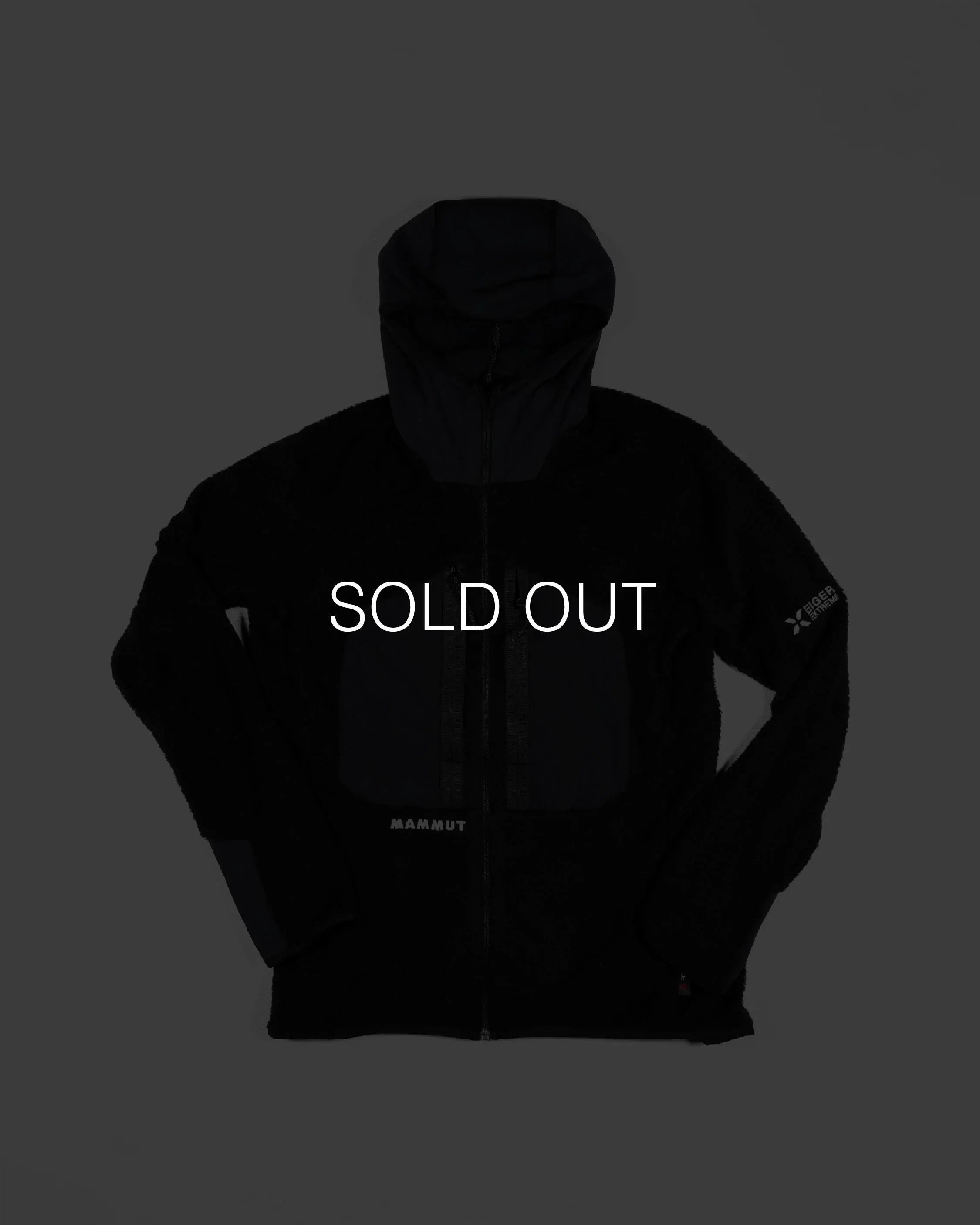 Mammut Eiger Nordwand Pro ML Air Hooded Jacket (MEN)