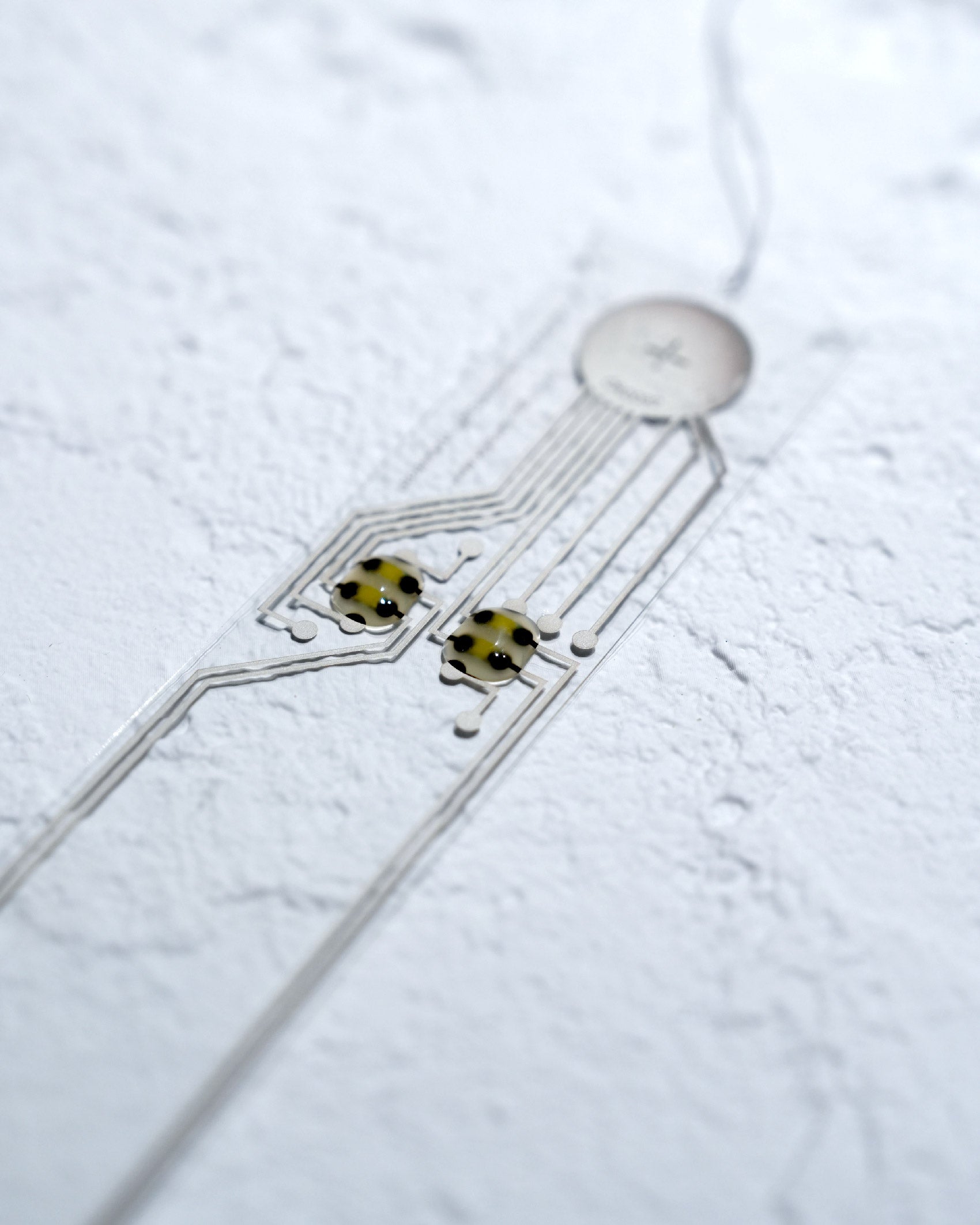 Field Record Bookmark Film Light