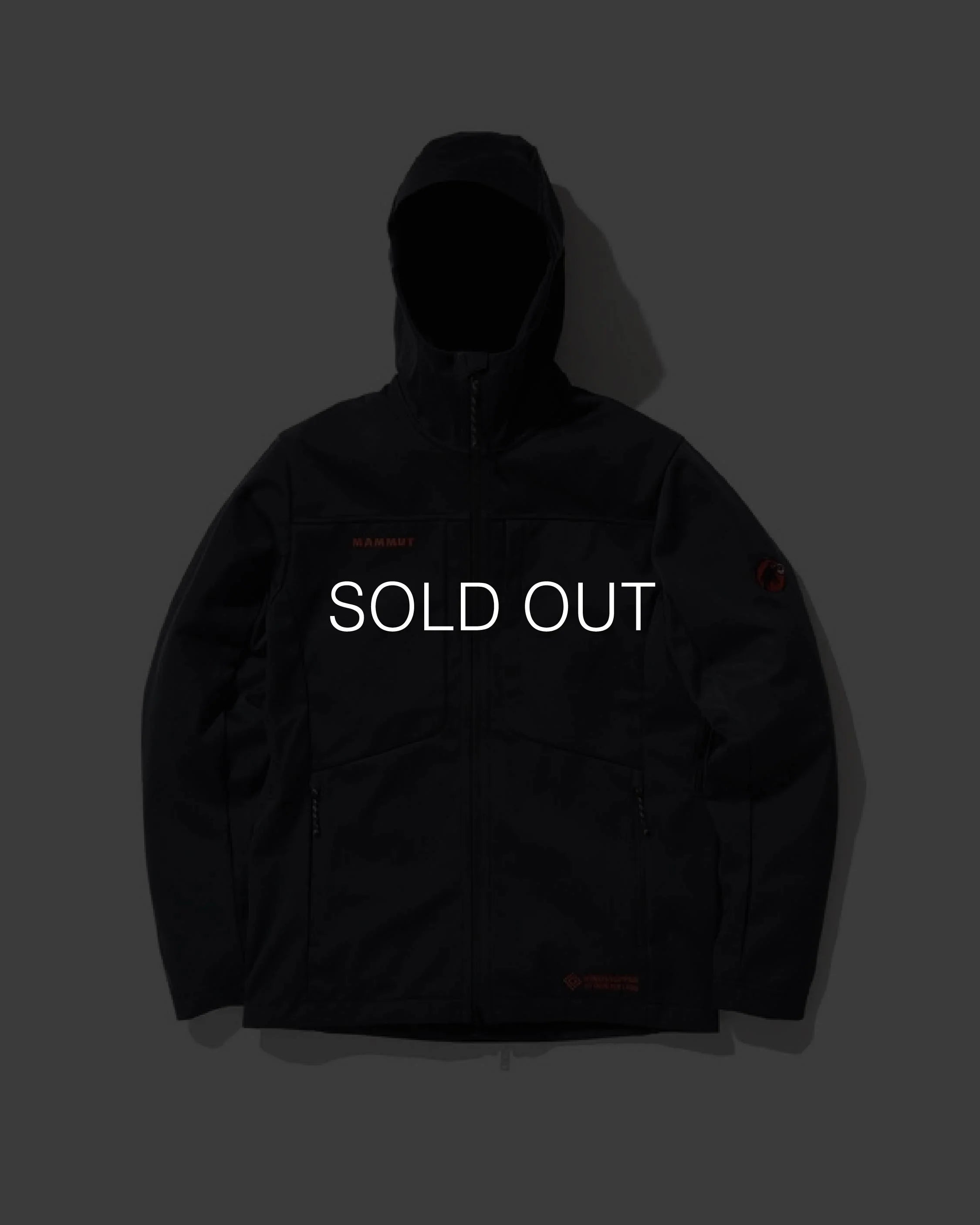 Mammut アヤコプロ　Hooded jacket L ブラック　ゴアテックス mammut-jacket-m-black-mammut-