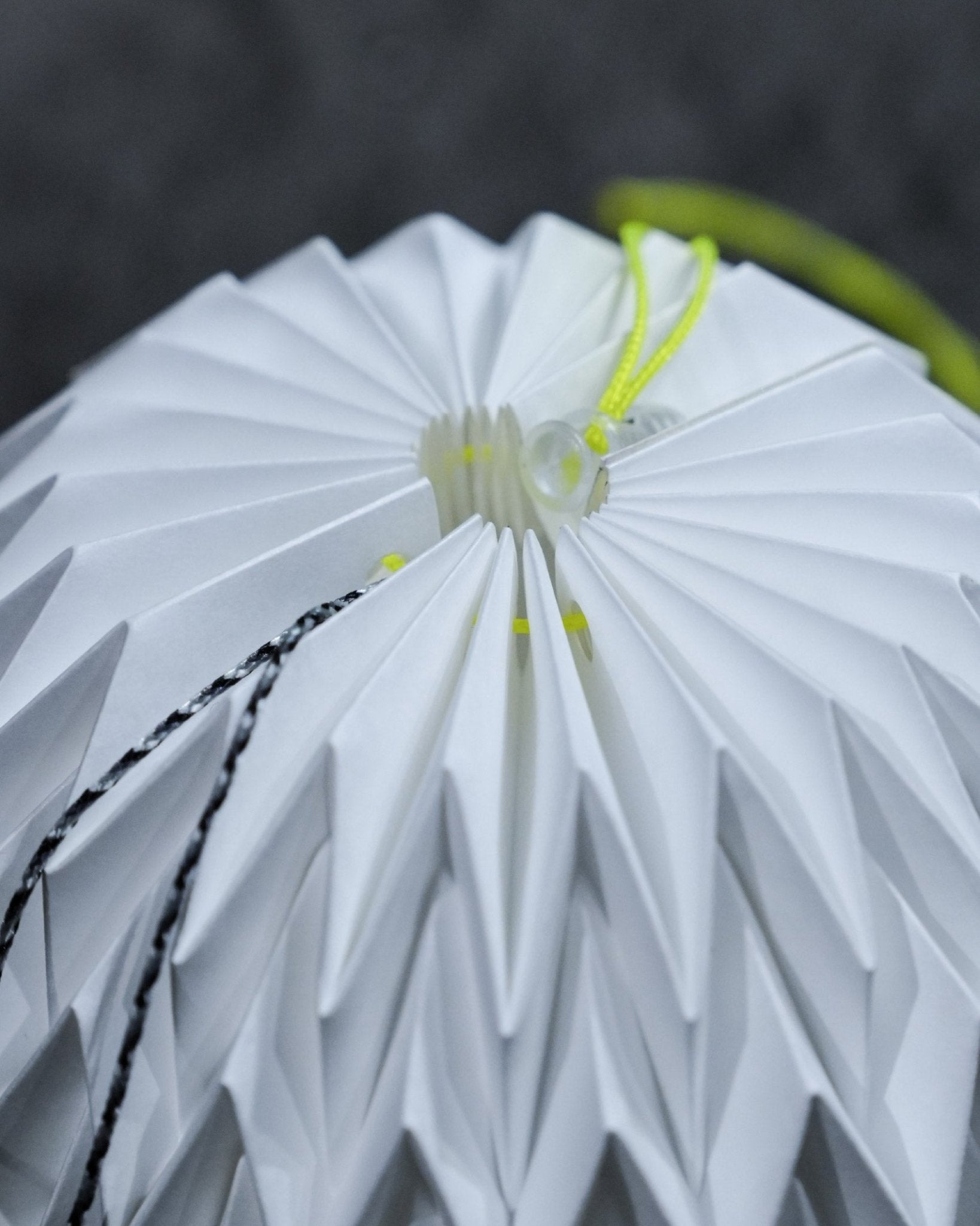 MOFMA Mame Uni Shade / Large - Wild Camping